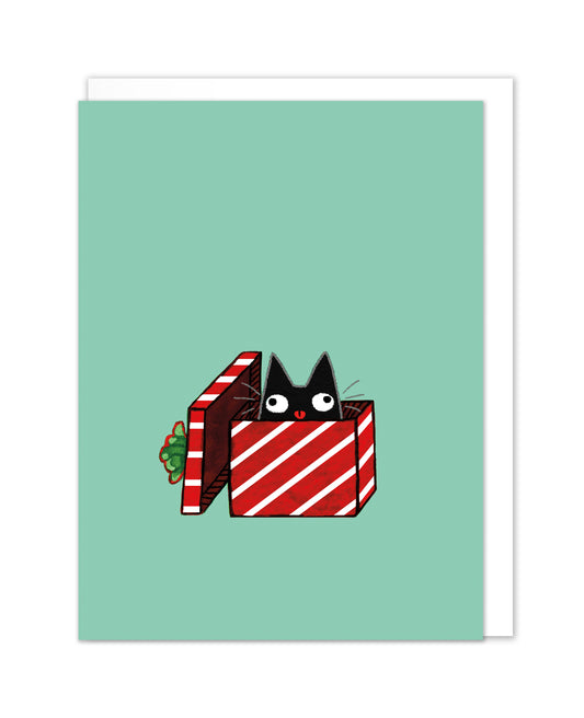 Teal Present Cat Card