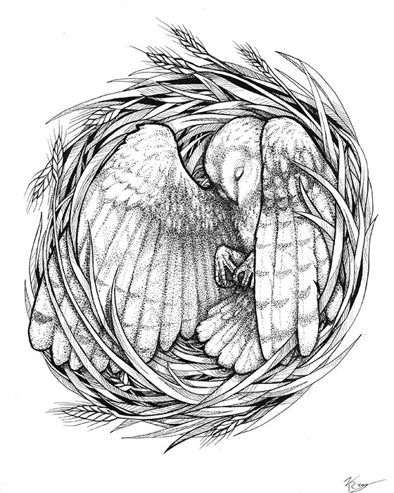 Nesting Series Owl - Signed Giclée Print
